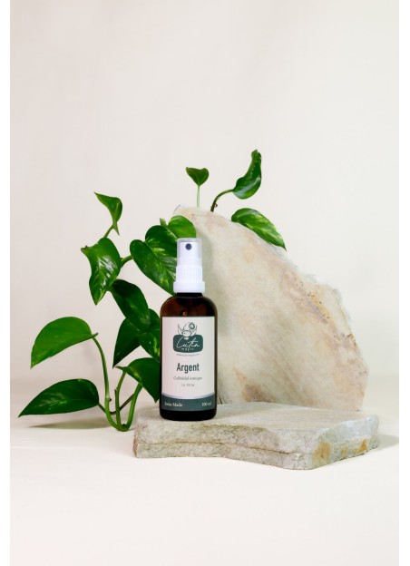 Argent colloïdal ionique Spray 100 ml